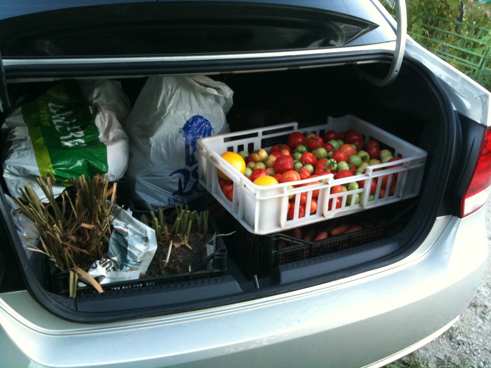 Хранение овощей в зимний период