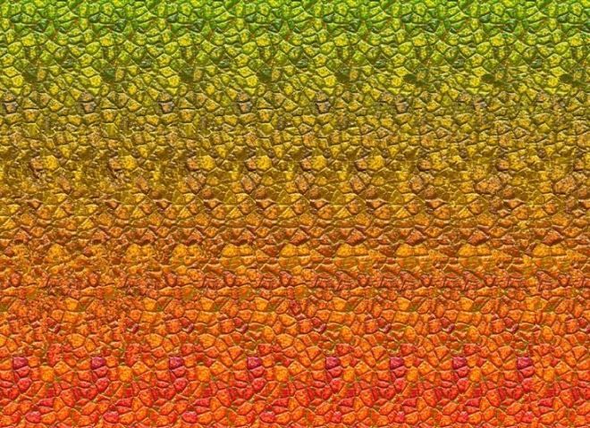 Оптические иллюзии в 3D: стереограммы для тренировки глаз
