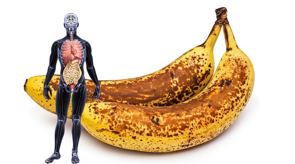Бананы – полезные и вкусные. Ваш организм скажет спасибо, если вы регулярно будете кушать фрукт