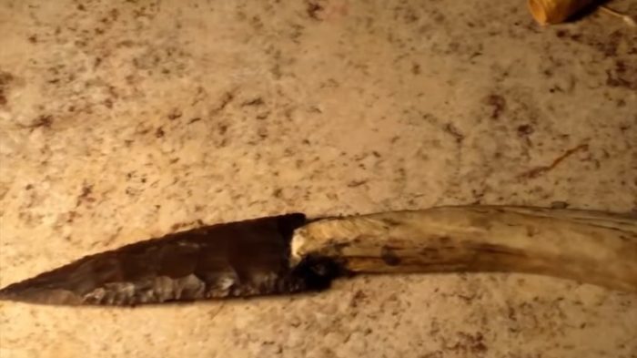 1000 лет его кости были скрыты в корнях дерева. Его удалось обнаружить только благодаря сильному урагану