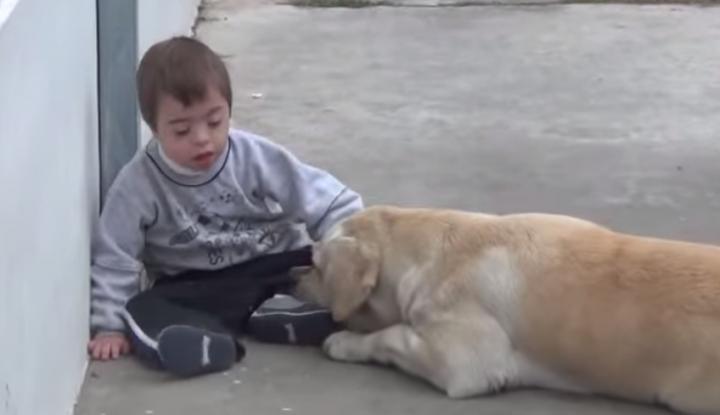 Реакция пса на ребенка с синдромом Дауна