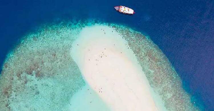 Лучший в мире босс отправил всю фирму отдыхать на Мальдивы