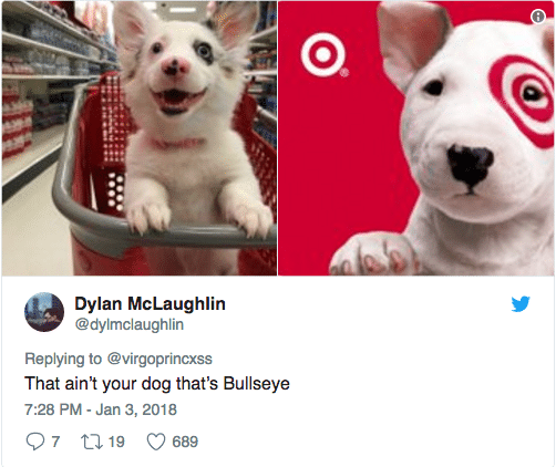 Dog Took A Trip To Target–Social Media Went Berserk