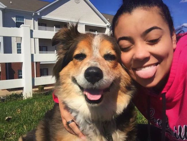 These Viral Photos Have Everyone Wanting To Take Selfies With Their Pets