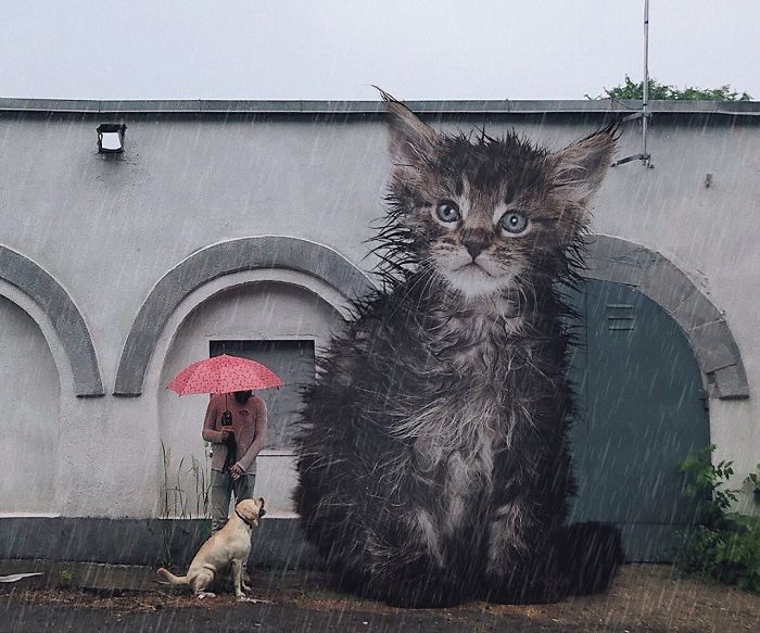 Thanks To This Artist You Can Now Picture What Earth Would Be Like With Giant Cats