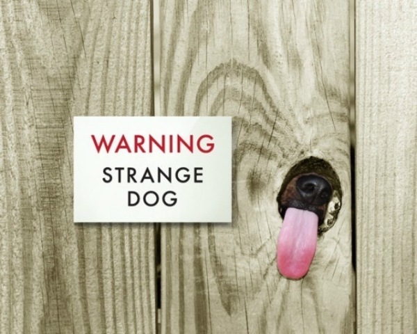 10+ Clever “Beware Of Dog” Signs That Will Make You Smile Today