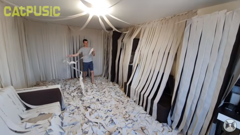 Cat goes crazy in a room full of toilet paper, we thought he lost his mind