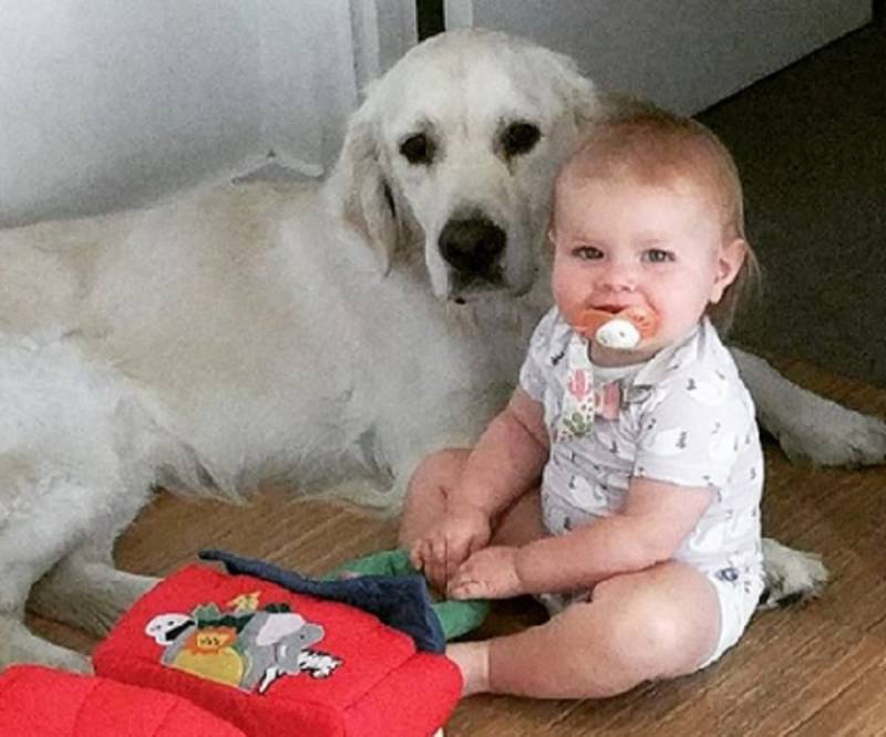 Dog And Toddler Crime Spree Busted By Parents — And It’s Adorable (VIDEO)