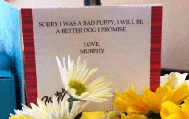 Confused Mom Gets Flowers From Her Dog–The Card Explains It All