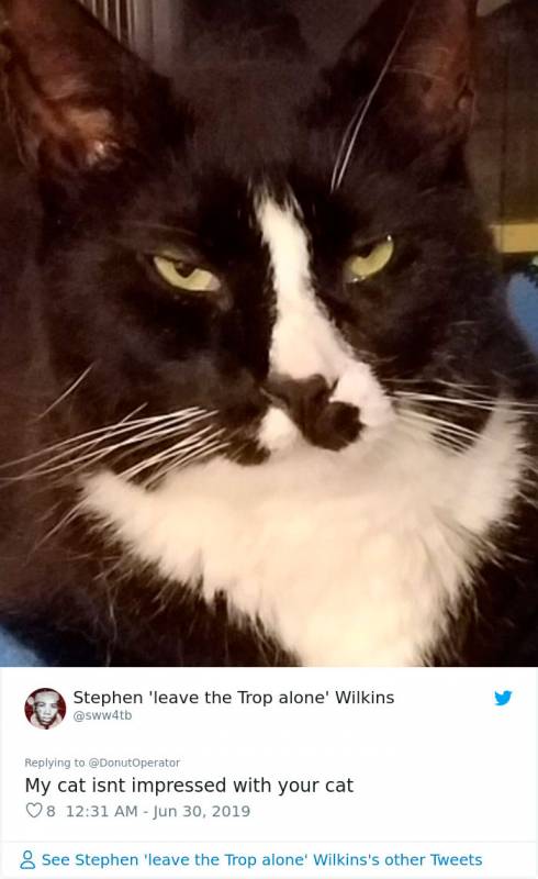 This Man Said His Cat Was Cuter Than Anyone Else’s And Other Cat Owners Were Not Happy