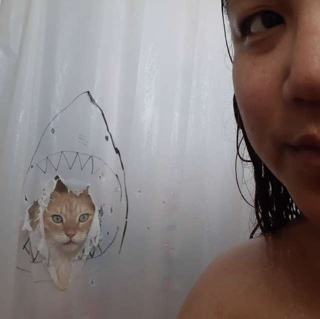 Cat loves destroying shower curtains, and this woman makes a new drawing everytime it does