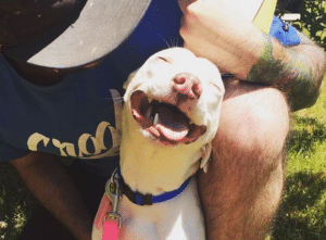 These Seven Dogs Learned They Are To Be Adopted And Their Reactions Says It All