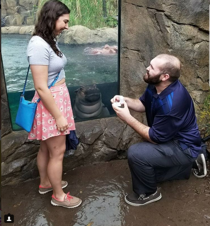 Couple Decided To Get Married At The Zoo — What Could Possibly Go Wrong?