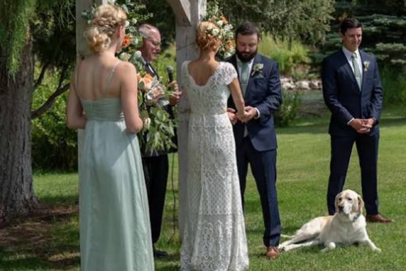 Dog Pulls Hilarious Photobomb On Couple’s Wedding Day … And It Goes Viral