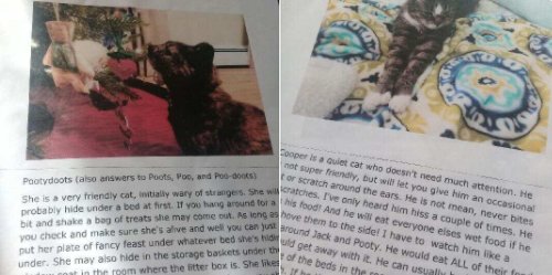 This Kitty Mom Went On Vacation And The Pet Sitter Couldn’t Stop Laughing When She Read The Instructions