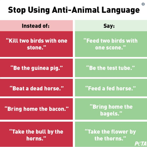 PETA tweets out ‘speciesism’ angering users across the globe