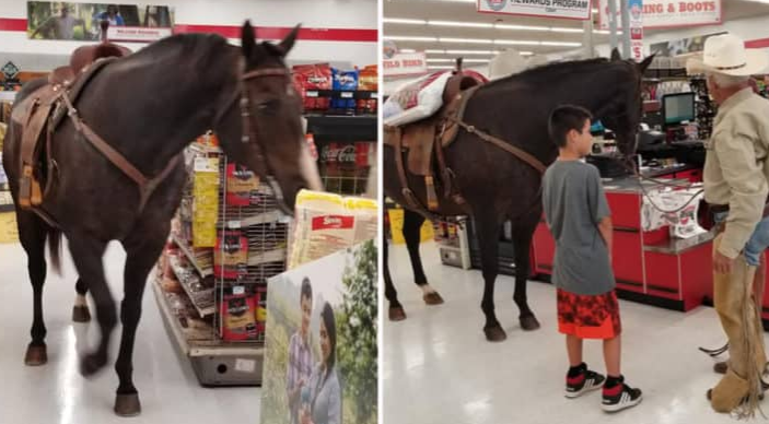 Cowboy Brings His Horse to the Store, Customers Reactions Were Surprising