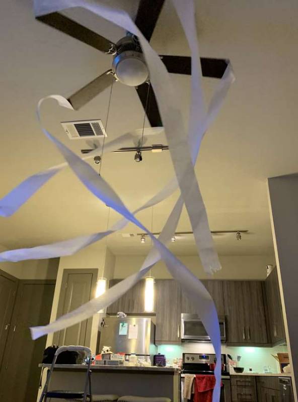 Dog Experiences Pure Joy When Owner Puts Toilet Paper On Ceiling Fan