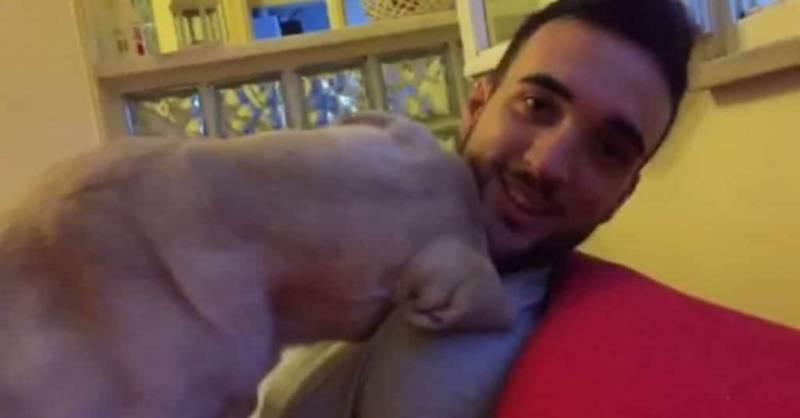 This Adorable Puppy Apologizes To His Owner In The Sweetest Way