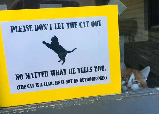 This Family Made A Hilarious Sign To Stop Their Cat From Getting Outside