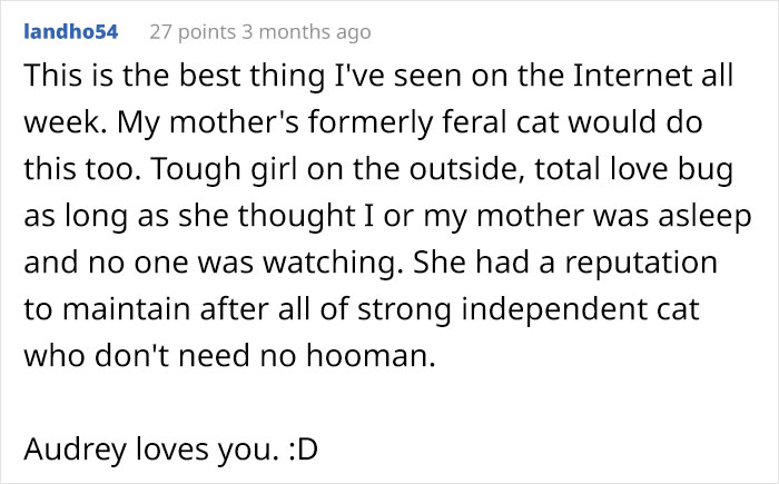 Owner Writes A Letter To Prove Her ’Extremely Unfriendly’ Cat Actually Has A Soft Side