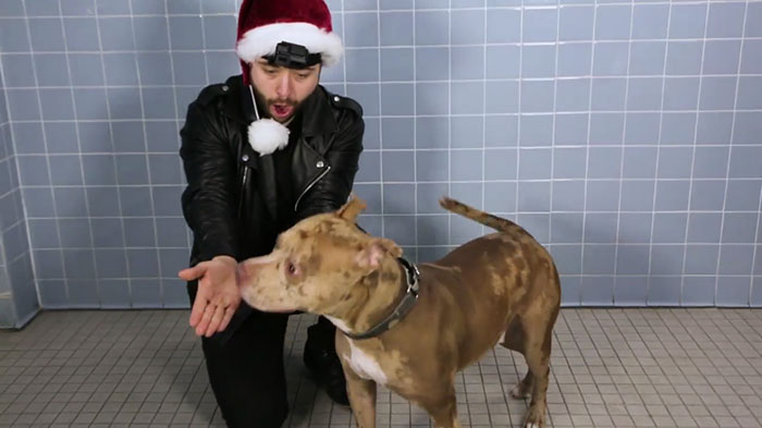 Magician performs at local shelter to help dogs gain exposure for adoption