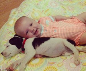 Babies and Puppies Napping…..I Can’t Handle the CUTENESS!