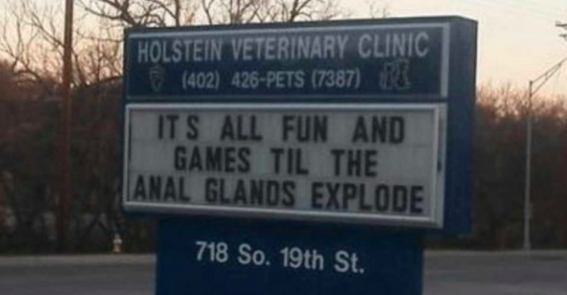 Vet trips are stressful, these vets tried to make everyone chuckle with their humor