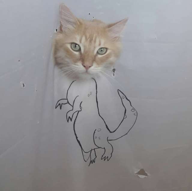 Cat loves destroying shower curtains, and this woman makes a new drawing everytime it does