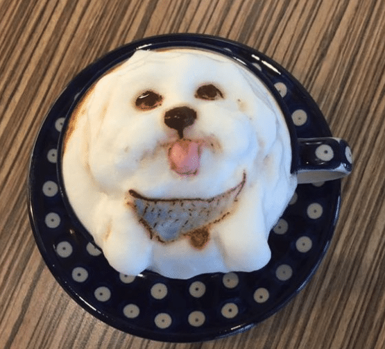 Coffee Shop Baristas Are Making Latte’s That Look Just Like Customers Pets, So Cute