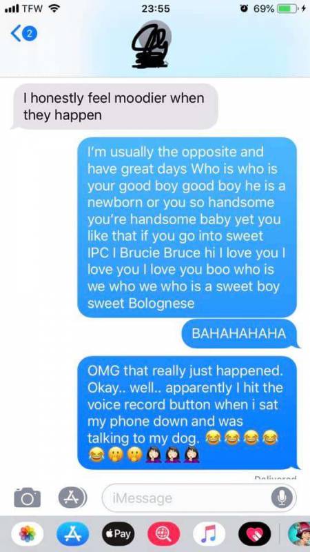 Woman’s Phone Hears Her Speaking To Her Dog And Puts It In A Hilarious Text