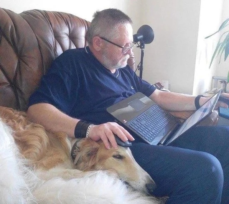 10+ Pictures Of Pets Who Make Themselves At Home Anywhere