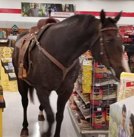 Cowboy Brings His Horse to the Store, Customers Reactions Were Surprising