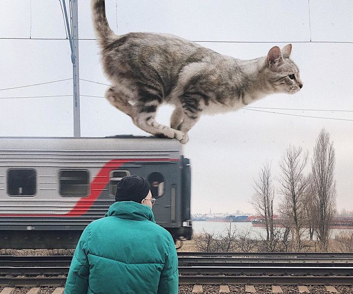 Thanks To This Artist You Can Now Picture What Earth Would Be Like With Giant Cats