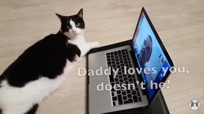 This Man Calls His Cat While He’s Gone –The Cat’s Reaction To Dad Coming Home? Heartmelting