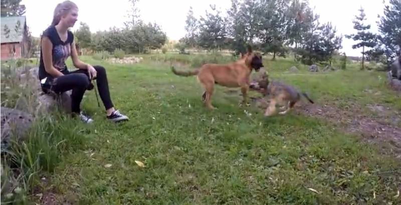 MUST WATCH: These Two Highly Unlikely Friends Have The Best Day Together