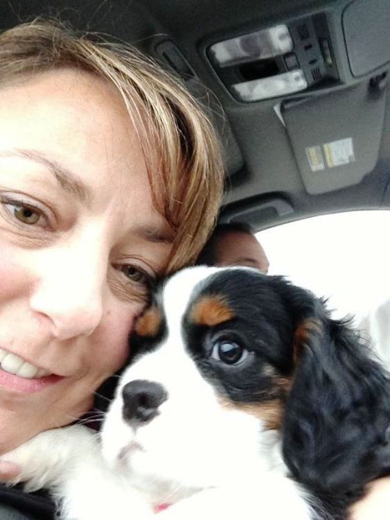 Confused Mom Gets Flowers From Her Dog–The Card Explains It All