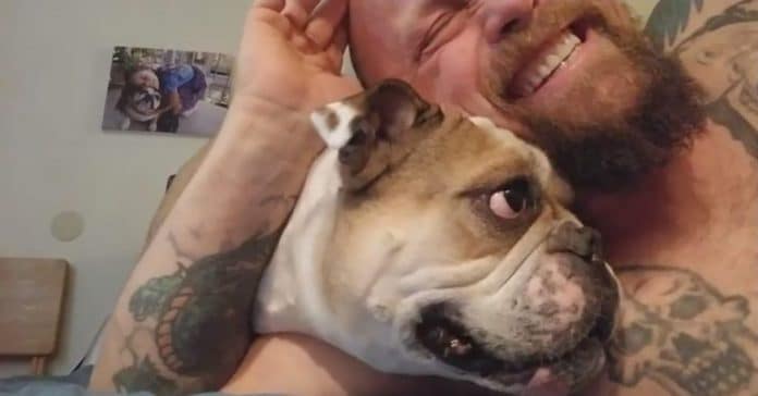 Bulldog Amuses Owner For Hours With This One Simple Trick