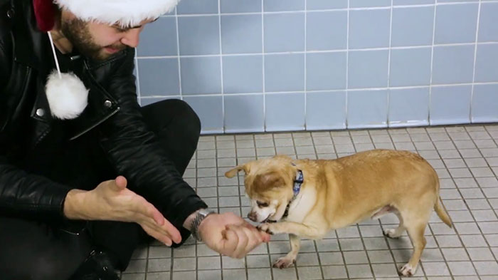Magician performs at local shelter to help dogs gain exposure for adoption