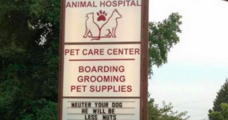 Vet trips are stressful, these vets tried to make everyone chuckle with their humor