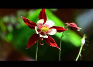 Постепенно я понимаю, что не стоит реагировать на все, что мне не нравиться