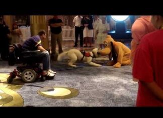 Disney Goes Out Of Their Way, This Pup’s Reaction Is So….ADORABLE!