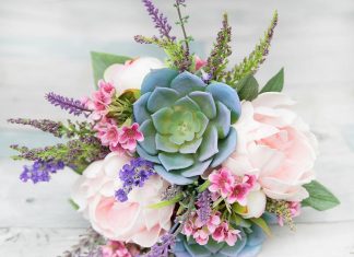 Пионы на суккуленты