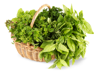 Микрозелень Микрозелень