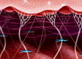Лучший коллаген — какой коллаген выбрать? Несколько лучших коллагеновых добавок Лучший коллаген - какой коллаген выбрать? Несколько лучших коллагеновых добавок