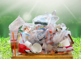 Проблема утилизации одноразовой посуды Проблема утилизации одноразовой посуды