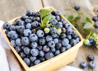 Польза черники