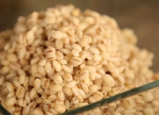 Перловка — жемчужина среди круп