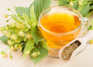 Чай из цветков липы – эффективный помощник при кашле и стрессе