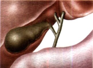 Заболевания, которые поражают желчный пузырь Заболевания, которые поражают желчный пузырь